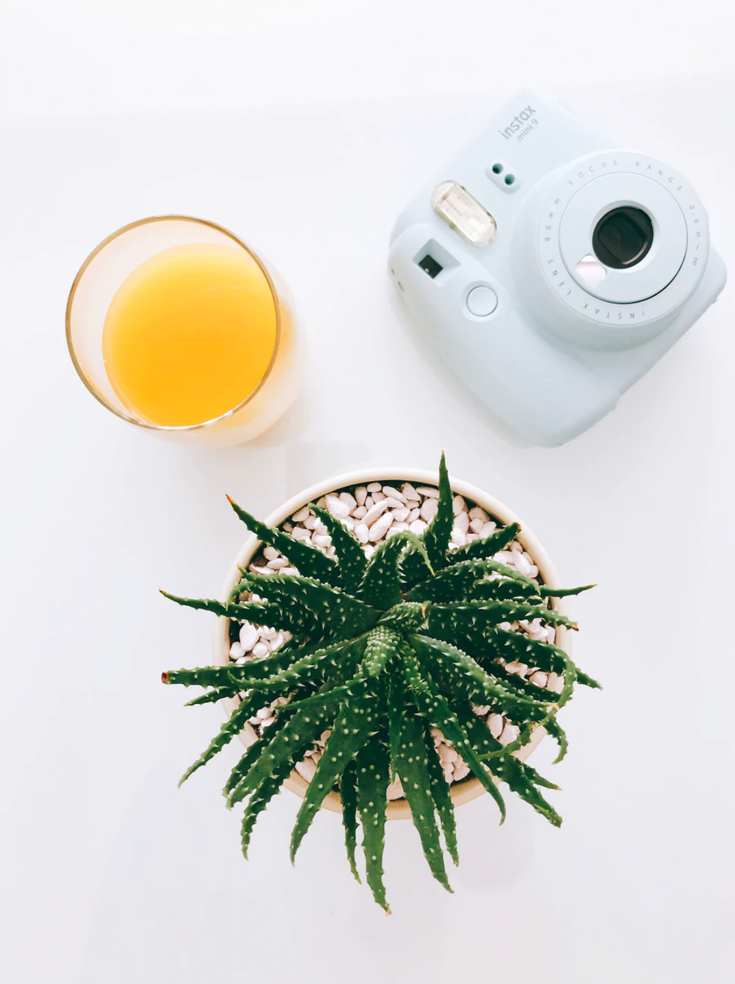 Polaroid Camera w/film